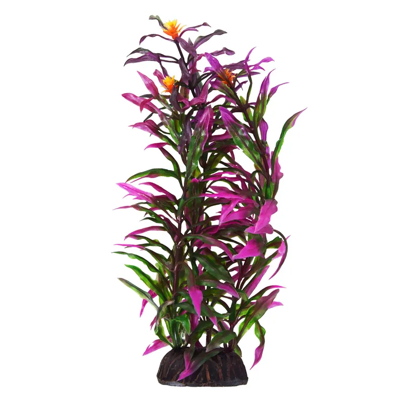 Underwater Treasures HYGRO ARAGUAIS 8"