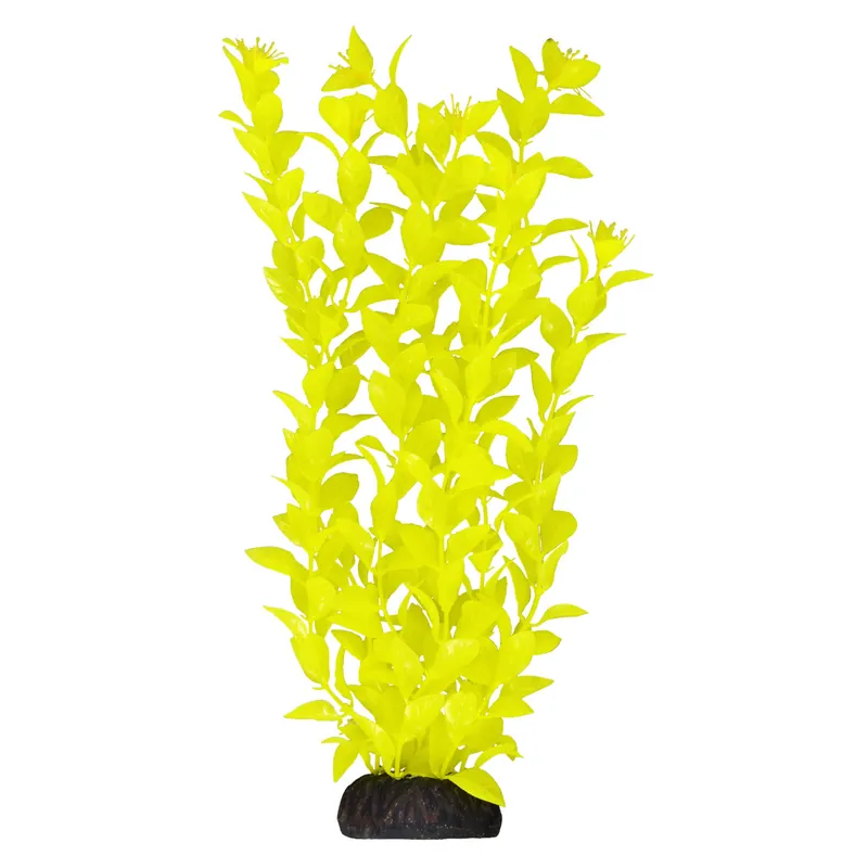 Underwater Treasures LUDWIGIA YELLOW 12"