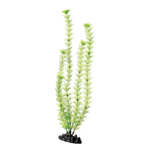 Underwater Treasures PLANT GREEN CABOMBA 16"