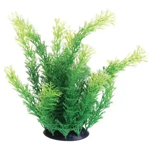 Underwater Treasures UT PLANT CABOMBA 10"