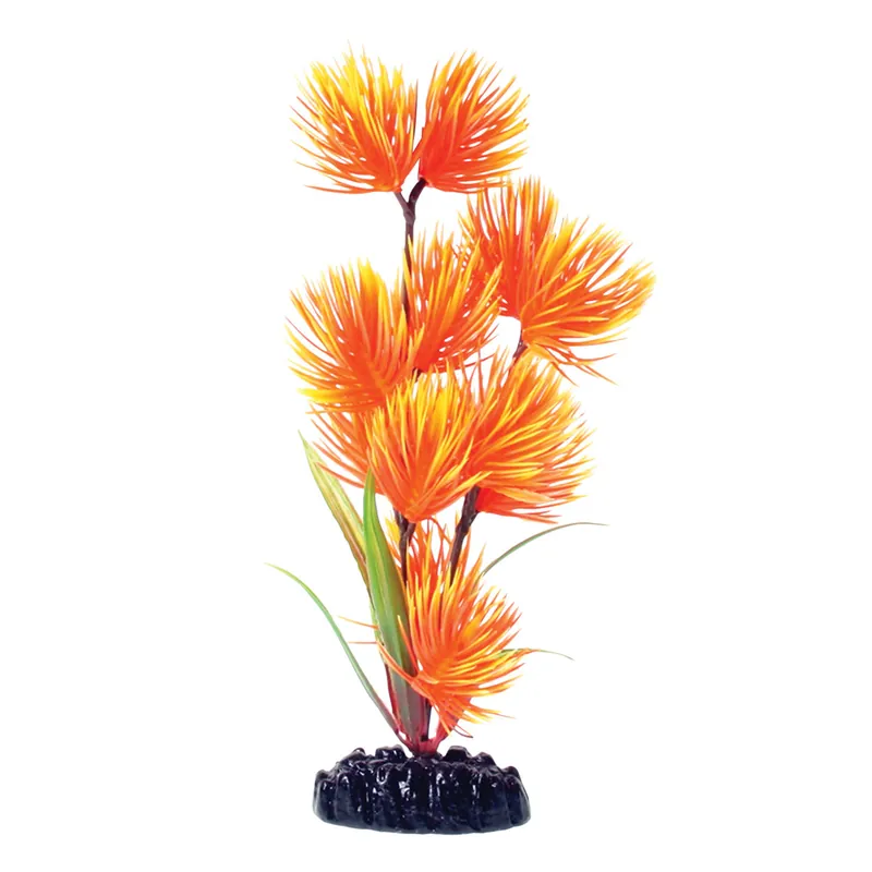 Underwater Treasures ORANGE YELLOW CONIFER 8"