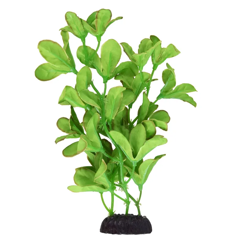 Underwater Treasures SILK BACOPA MONNIERI 8"
