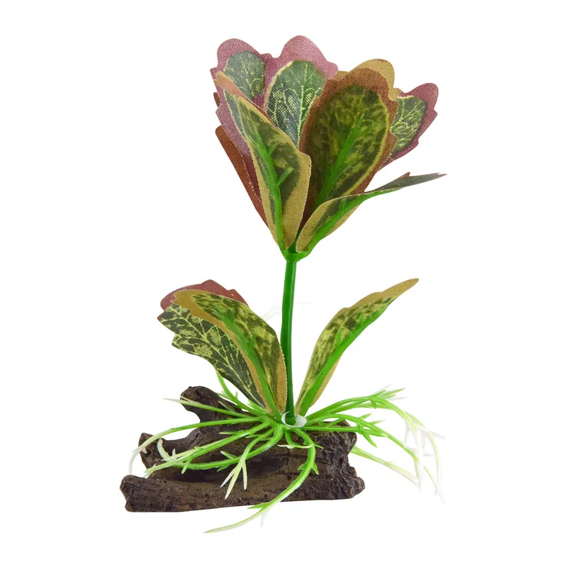 Underwater Treasures SILK KALANCHOE FLAPJACK