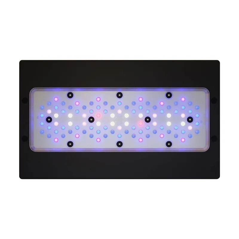 EcoTech Marine RADION XR30 G6 BLUE