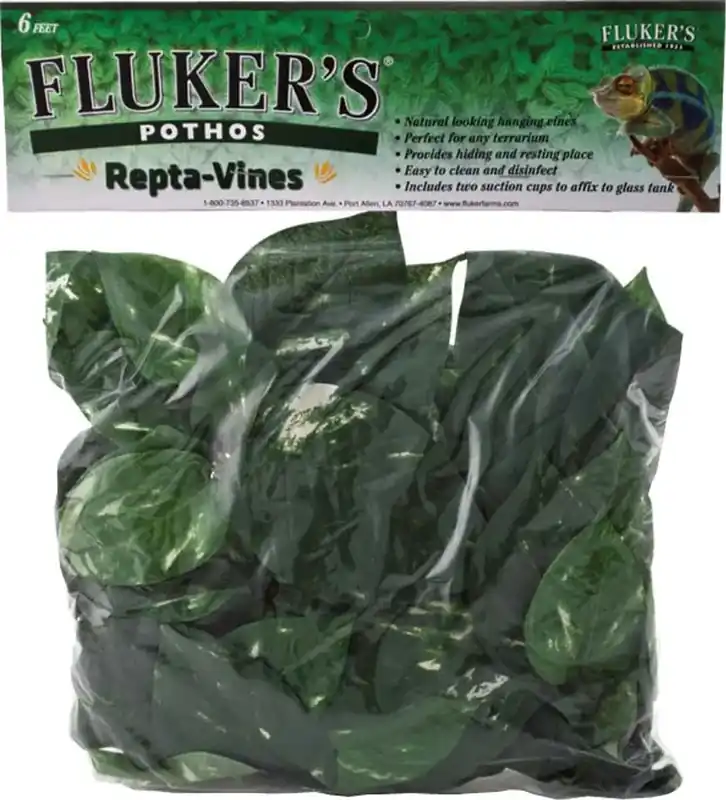 Fluker Farm REPTA VINE POTHOS GREEN 6 FT