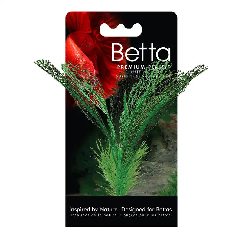 Fluval BETTA MADAGASCAR LACE PLANT 6"