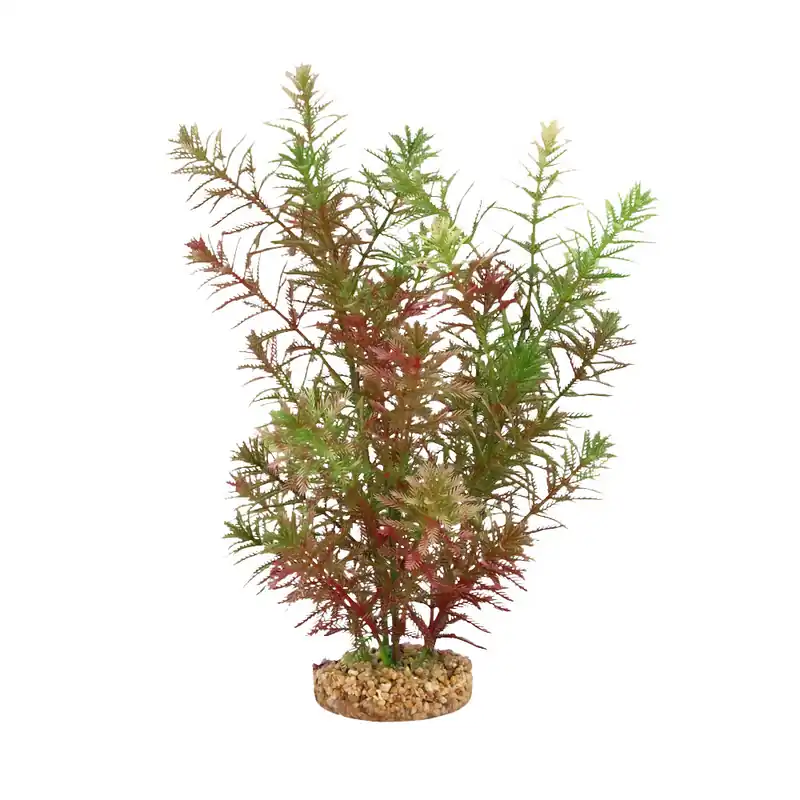 Fluval GREEN MYRIOPHYLLUM 10"
