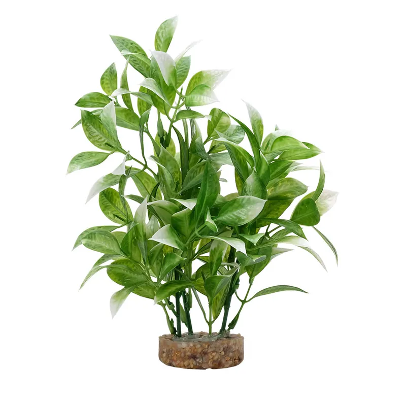Fluval WHITE TIPPED LUDWIGIA 8"