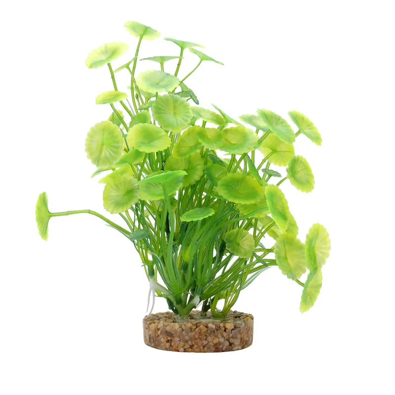 Fluval YELLOW GREEN LYSIMACHIA 8"