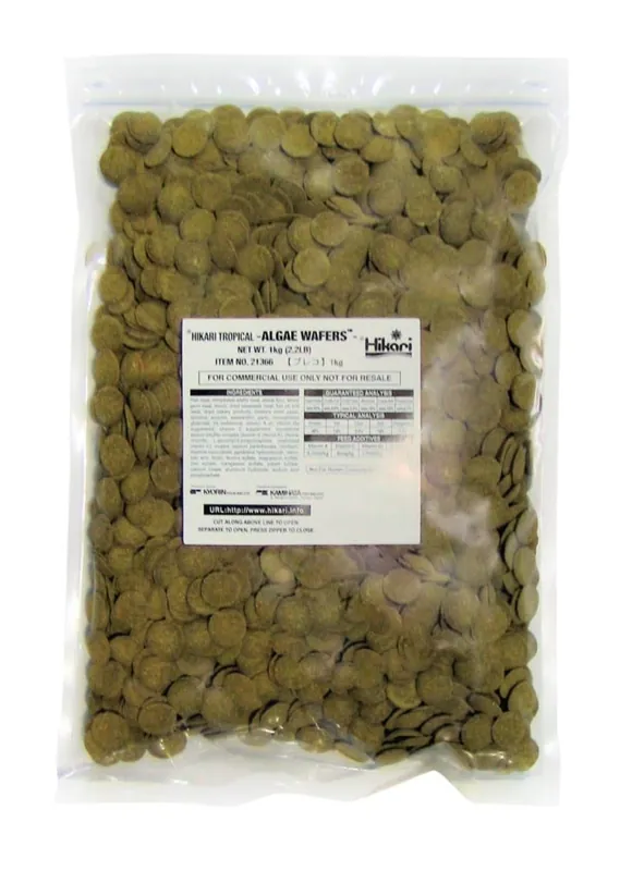 Hikari ALGAE WAFFERS 2.2 LB