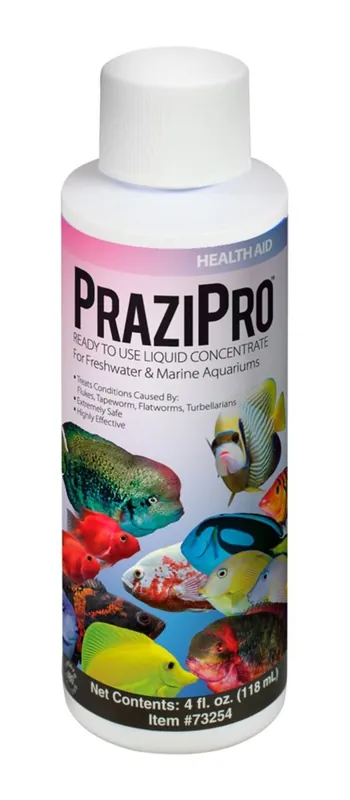 Hikari PRAZI PRO 4 OZ