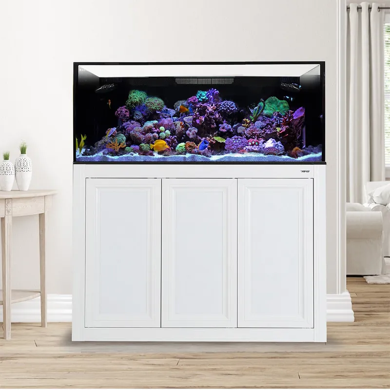 Innovative Marine EXT 150 LAGOON AQUARIUM W / APS STAND WHITE (MADE TO ORDER)