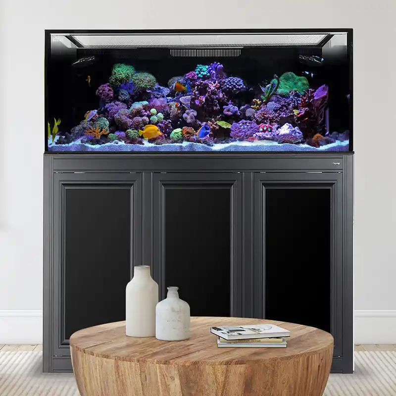 Innovative Marine EXT 170 AQUARIUM W / APS STAND BLACK (MADE TO ORDER)