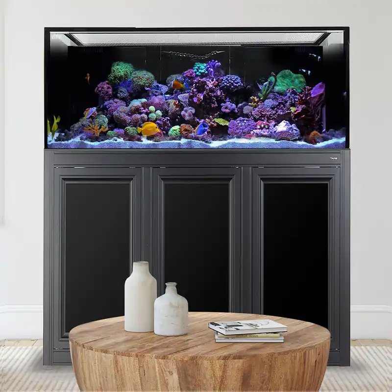 Innovative Marine INT 170 AQUARIUM W / APS STAND BLACK (MADE TO ORDER)