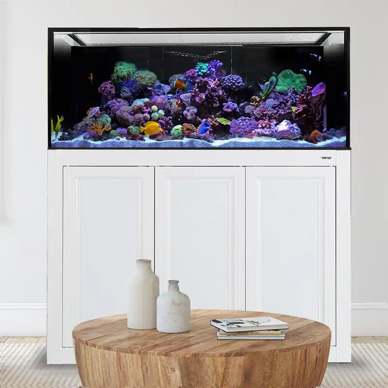 Innovative Marine INT 170 AQUARIUM W / APS STAND WHITE (MADE TO ORDER)