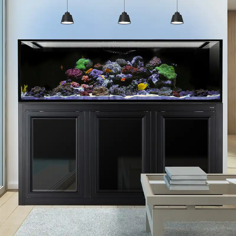 Innovative Marine INT 200 AQUARIUM W / APS STAND BLACK (MADE TO ORDER)