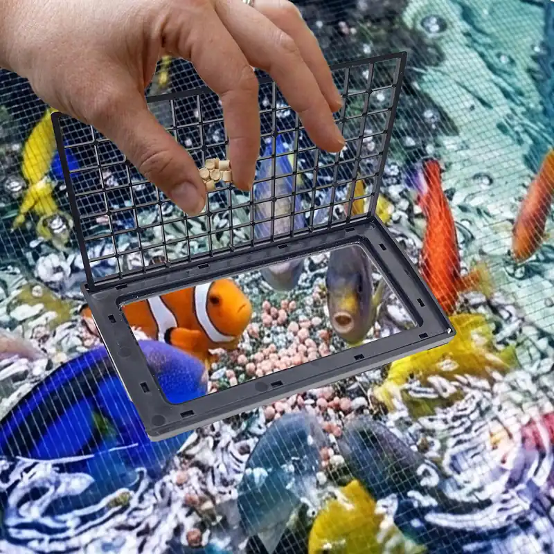 Innovative Marine NUVO FLIP FEED HINGED FEEDING LID