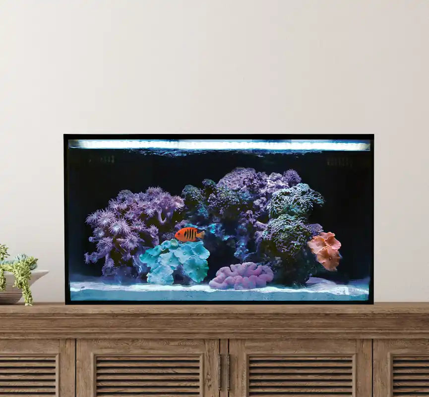 Innovative Marine FUSION AIO 20 LONG AQUARIUM