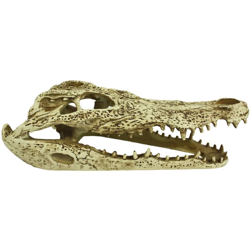 Komodo HIDEOUT ALLIGATOR SKULL