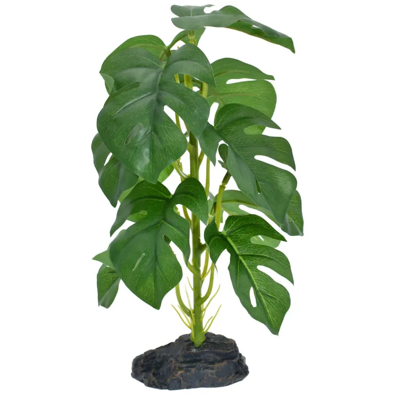 Komodo STANDING MONSTERA PLANT