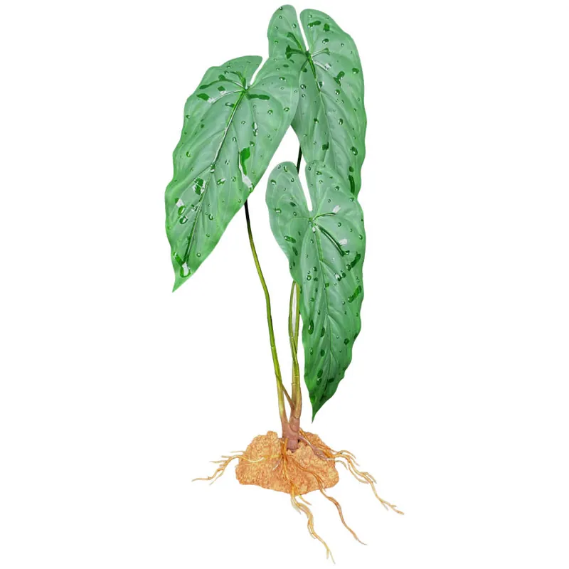 Komodo STANDING PLANT EMERALD VEIN 18"