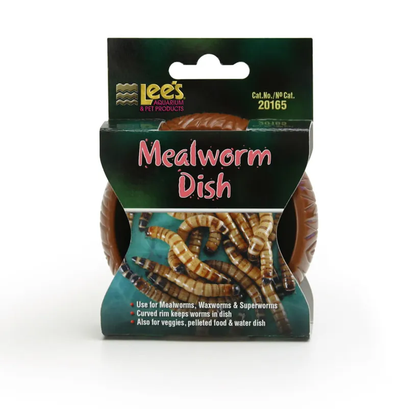 Lee's MEALWORM CURVED DISH