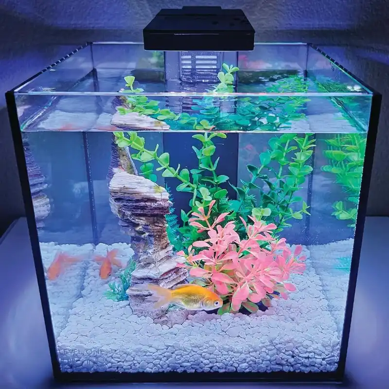 Level One Pets MINI 3 GALLON AQUARIUM KIT INCLUDES DUO 2 IN 1
