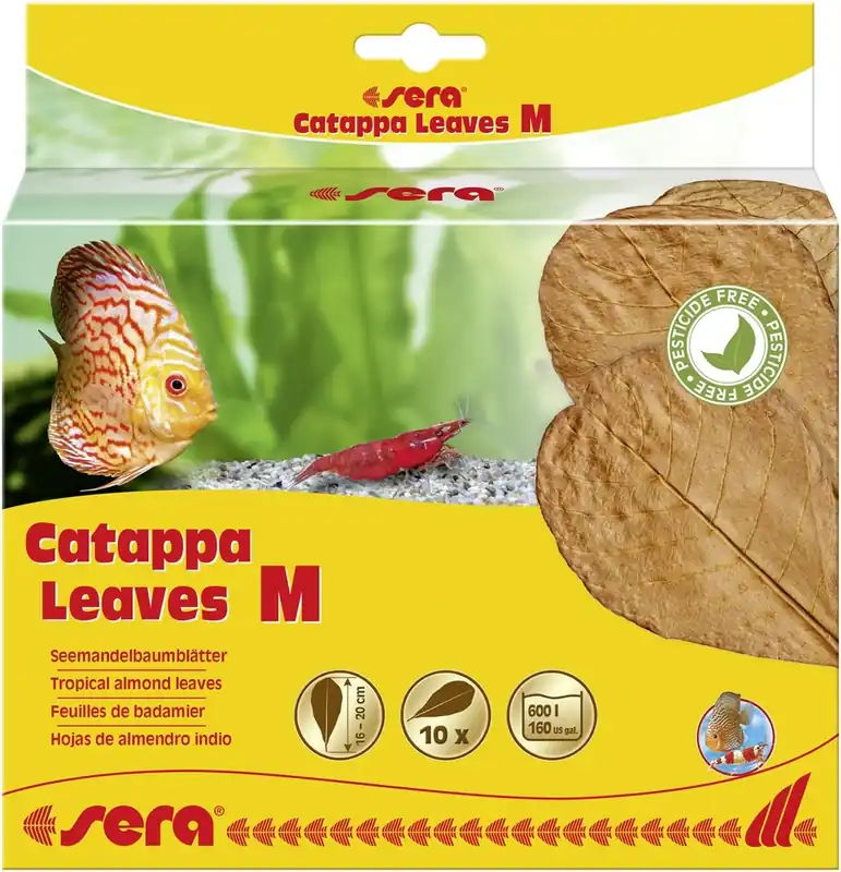 Sera CATAPPA LEAVES M