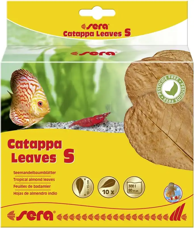 Sera CATAPPA LEAVES S