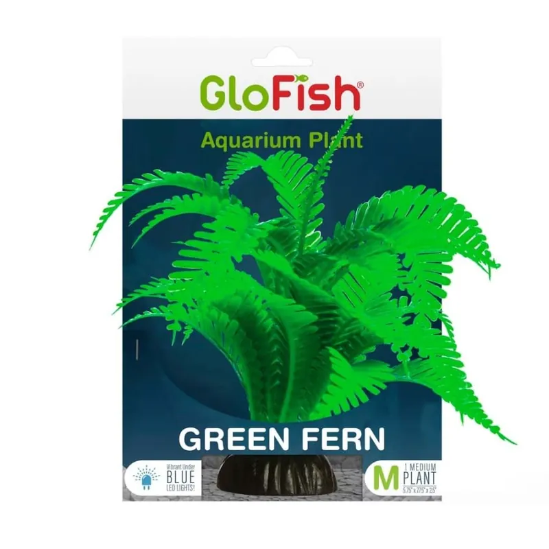 GloFish GLOFISH FERN PLANT GREEN MD