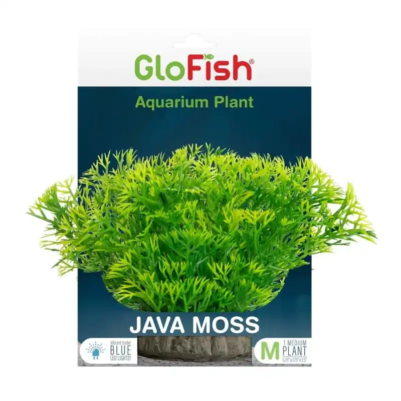 GloFish GLOFISH JAVA MOSS PLANT MD