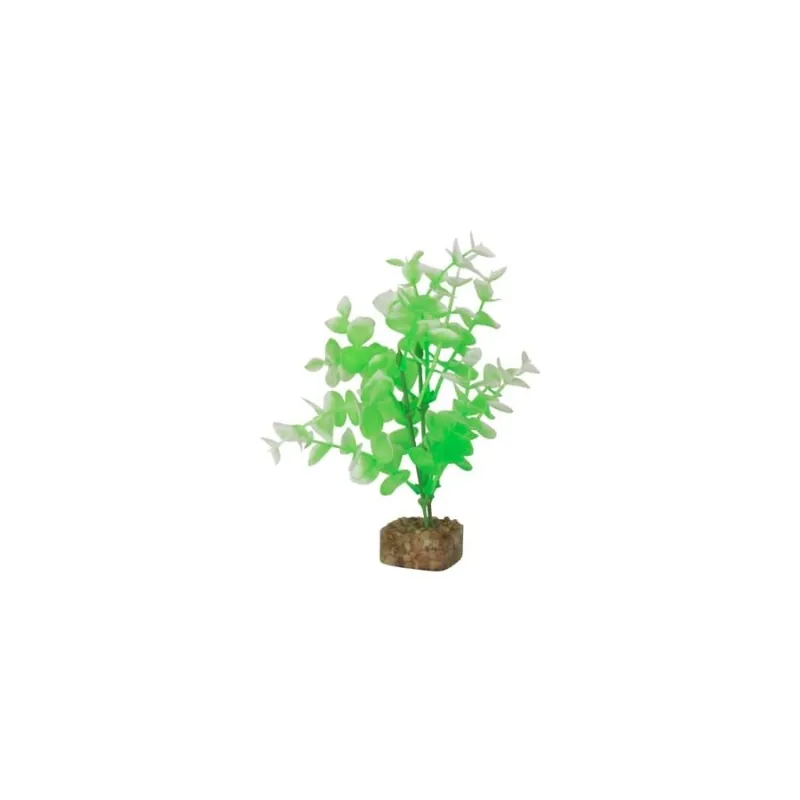 GloFish GLOFISH PLANT GREEN/WHITE MED