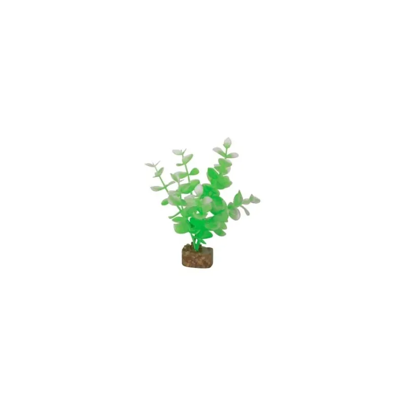 GloFish GLOFISH PLANT GREEN/WHITE SM