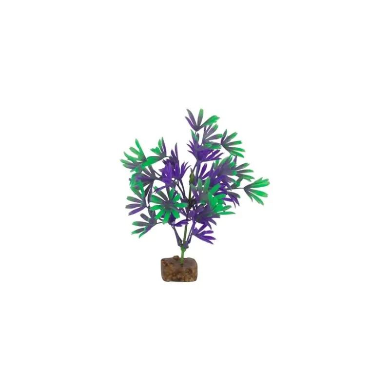 GloFish GLOFISH PLANT PURPLE/GREEN MD
