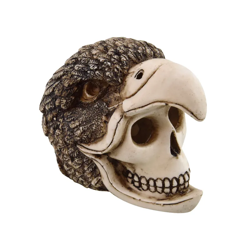 Underwater Treasures BIRDMAN SKULL