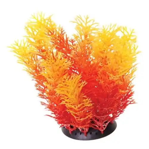 Underwater Treasures CABOMBA ORANGE 6"
