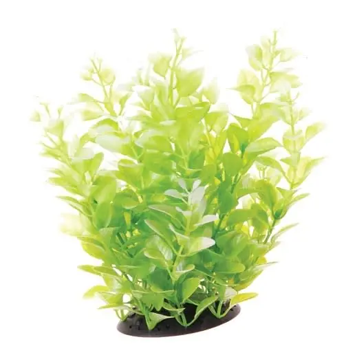 Underwater Treasures CARDAMINE WHITE TIPPED 10"