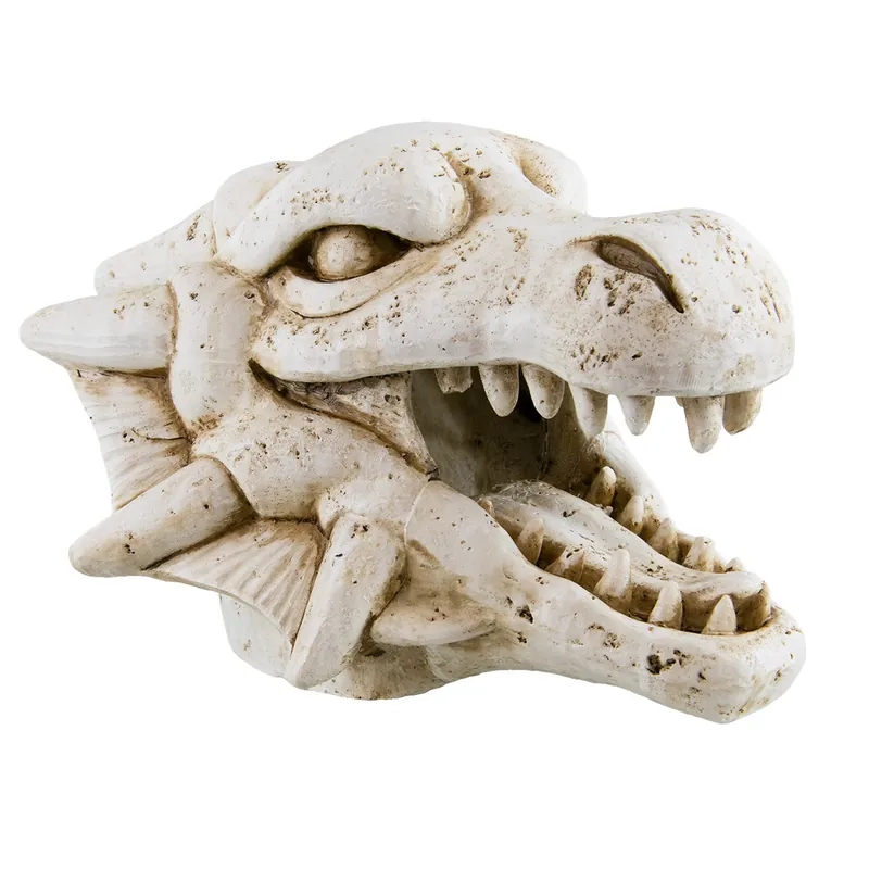 Underwater Treasures DRAGON SKULL