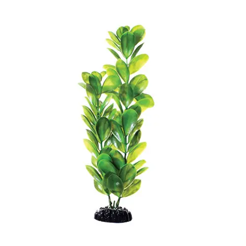 Underwater Treasures GREEN BACOPA 12IN