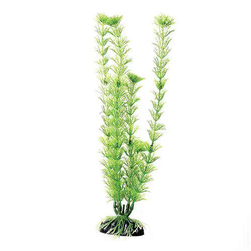 Underwater Treasures GREEN CABOMBA 12IN