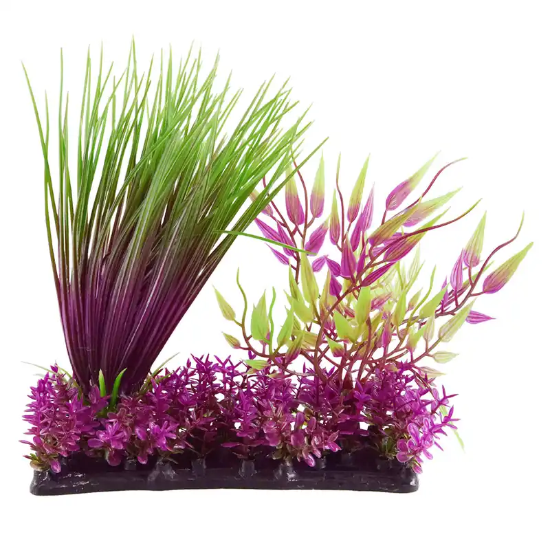 Underwater Treasures HAIRGRASS GARDEN MIX