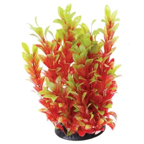 Underwater Treasures LUDWIGIA RED 10"