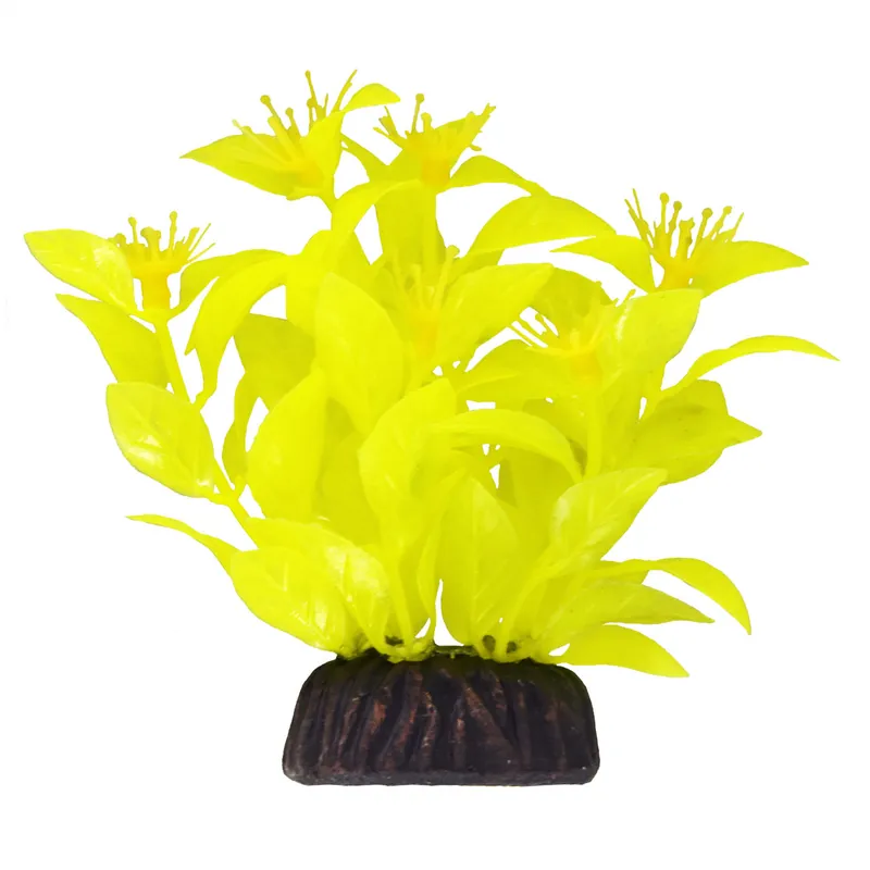 Underwater Treasures LUDWIGIA YELLOW 3"