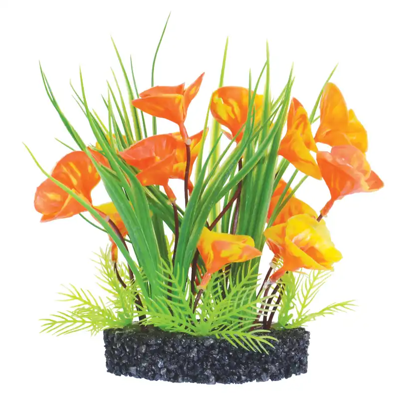 Underwater Treasures LUNA LILY BUSH ORANGE