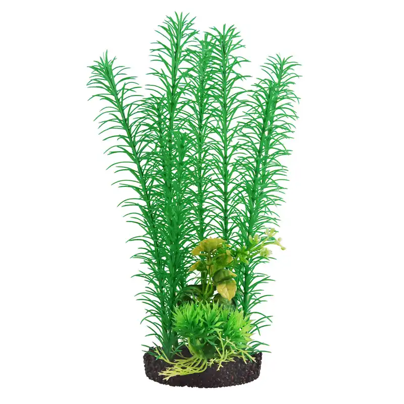Underwater Treasures MAYACA GREEN