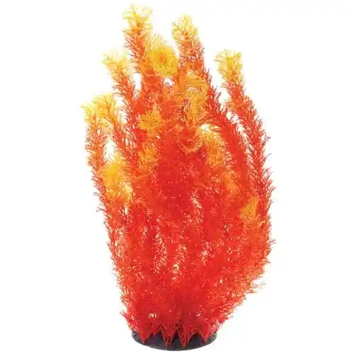 Underwater Treasures ORANGE CABOMBA 20"