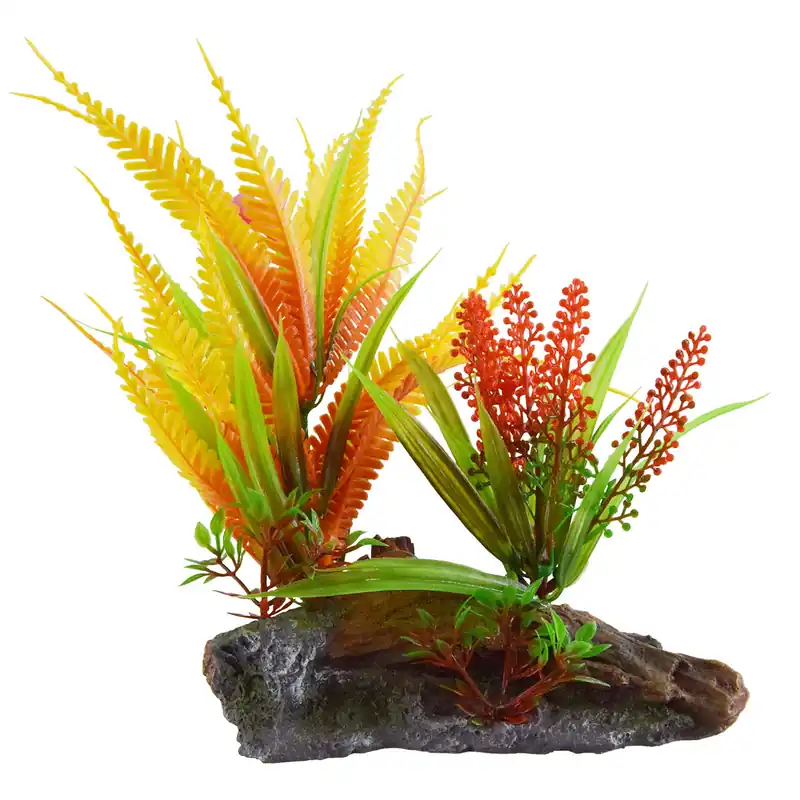 Underwater Treasures ORANGE FERN ON WOOD
