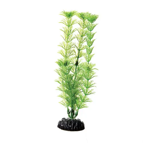 Underwater Treasures UT PLANT CABOMBA 8 "