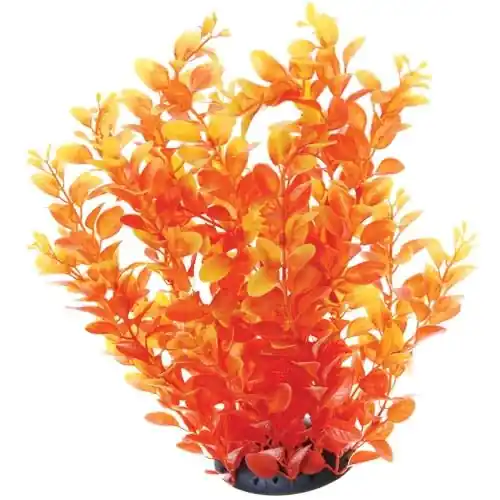 Underwater Treasures PLANT ORANGE CARDAMINE 12"