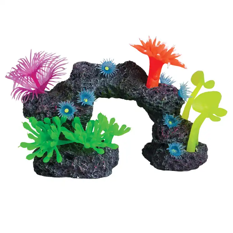 Underwater Treasures REEF SCENE SMALL C